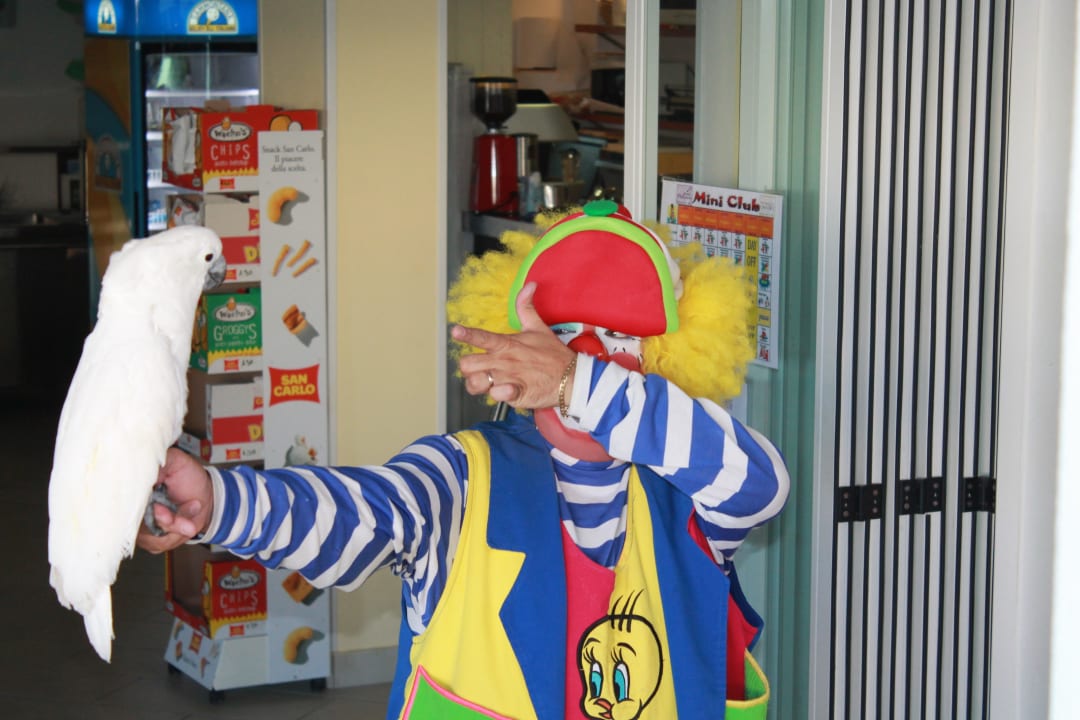 Kinseranimation Hotel Palace