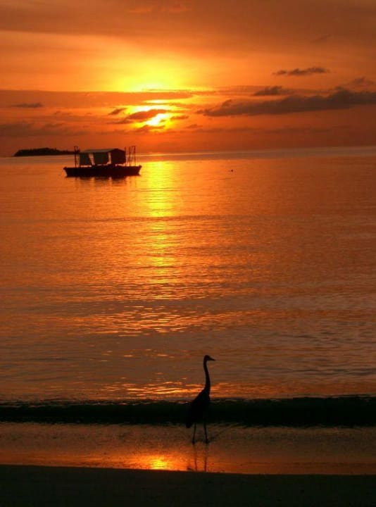 Schweigen und genießen Summer Island Maldives