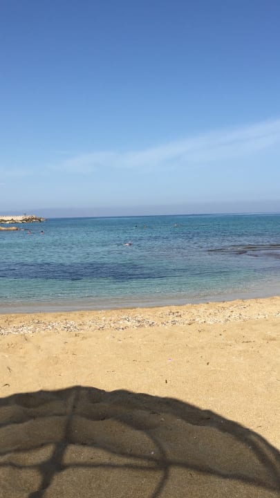 Ausblick allsun Hotel Carolina Mare