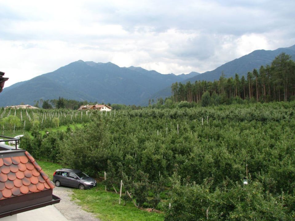 Zimmerausblick Hotel Flötscherhof