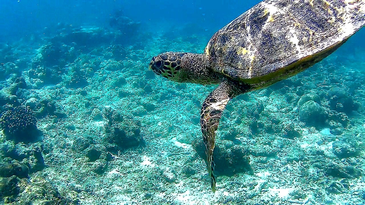 Sport & Freizeit Adaaran Select Hudhuran Fushi - Premium All Inclusive