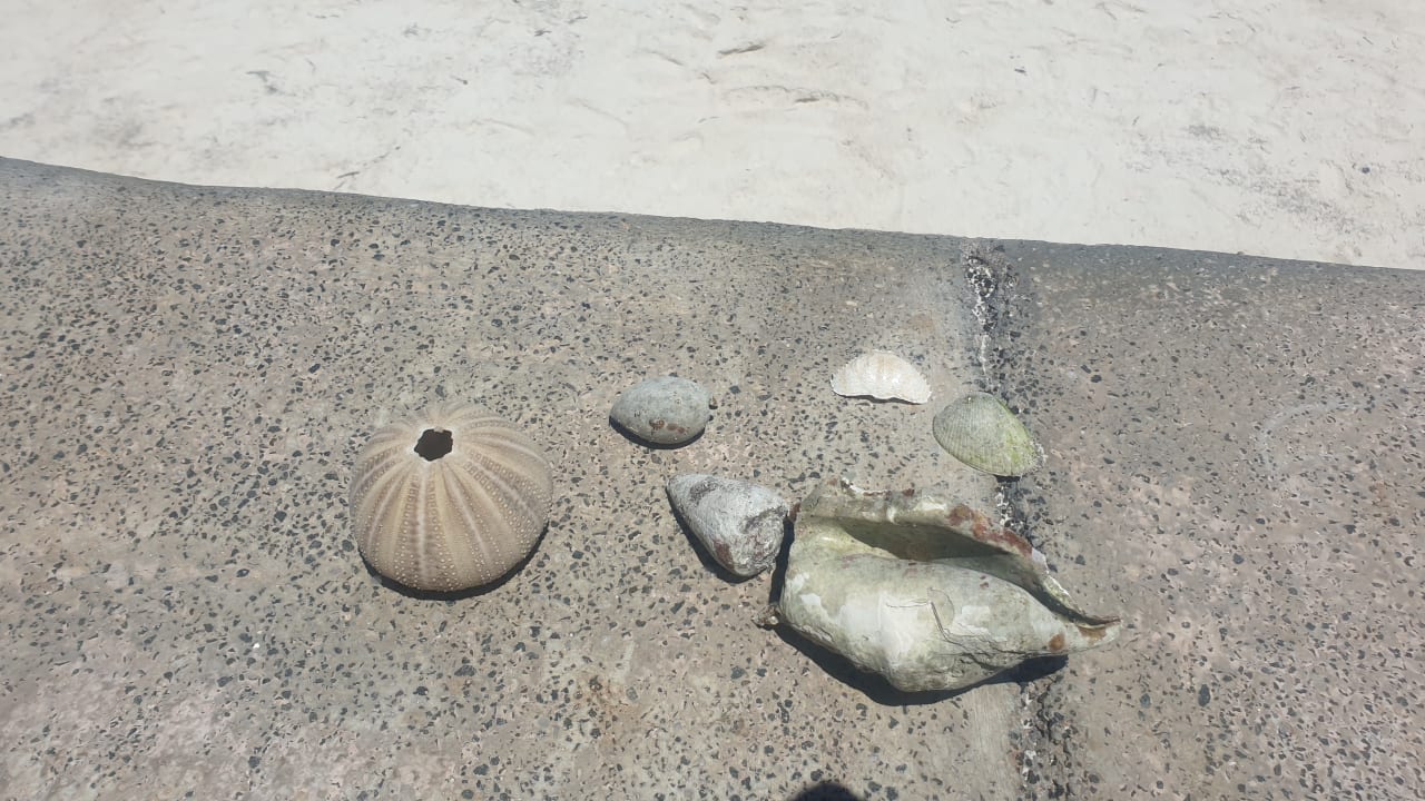 Strand Neptune Village Beach Resort & Spa