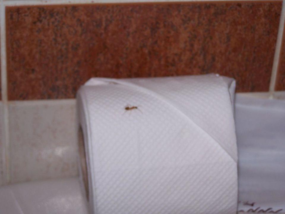 Badezimmer Hotel Hauza Beach Resort