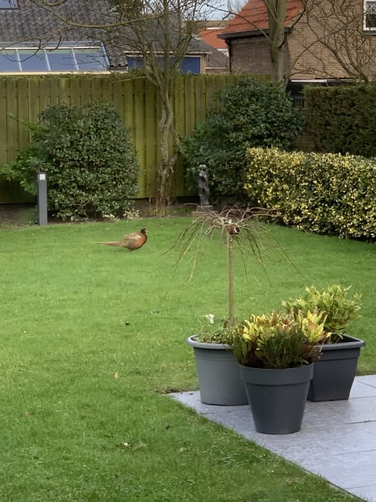 Gartenanlage Ferienpark Landal Villapark Vogelmient