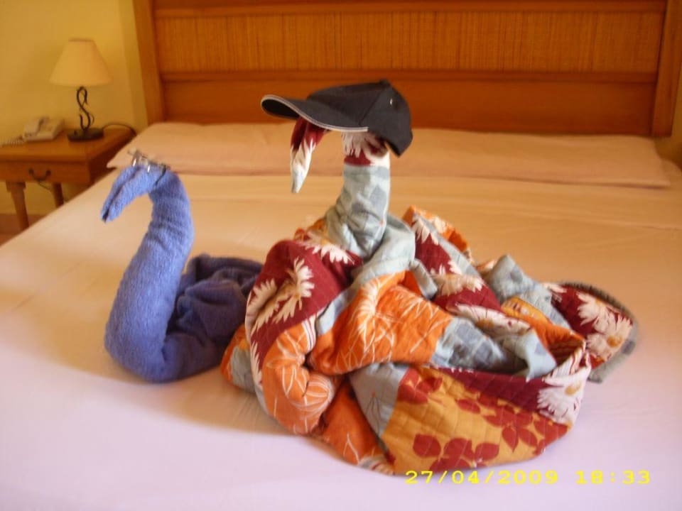 Deko Starfish Cuatro Palmas