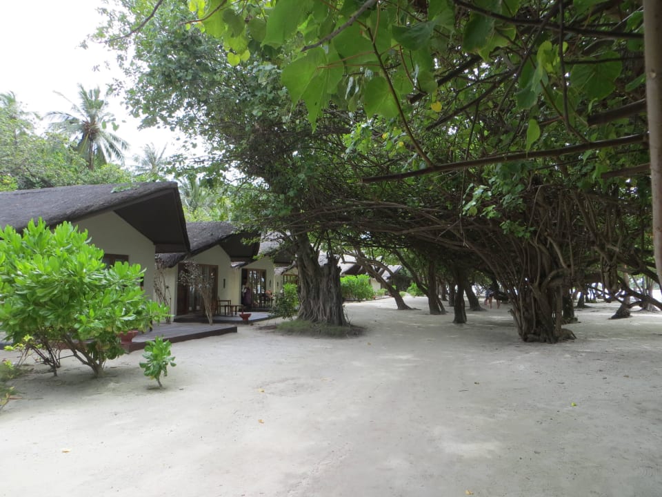 Spaziergang am Strand und den Beachvillen Adaaran Select Hudhuran Fushi - Premium All Inclusive