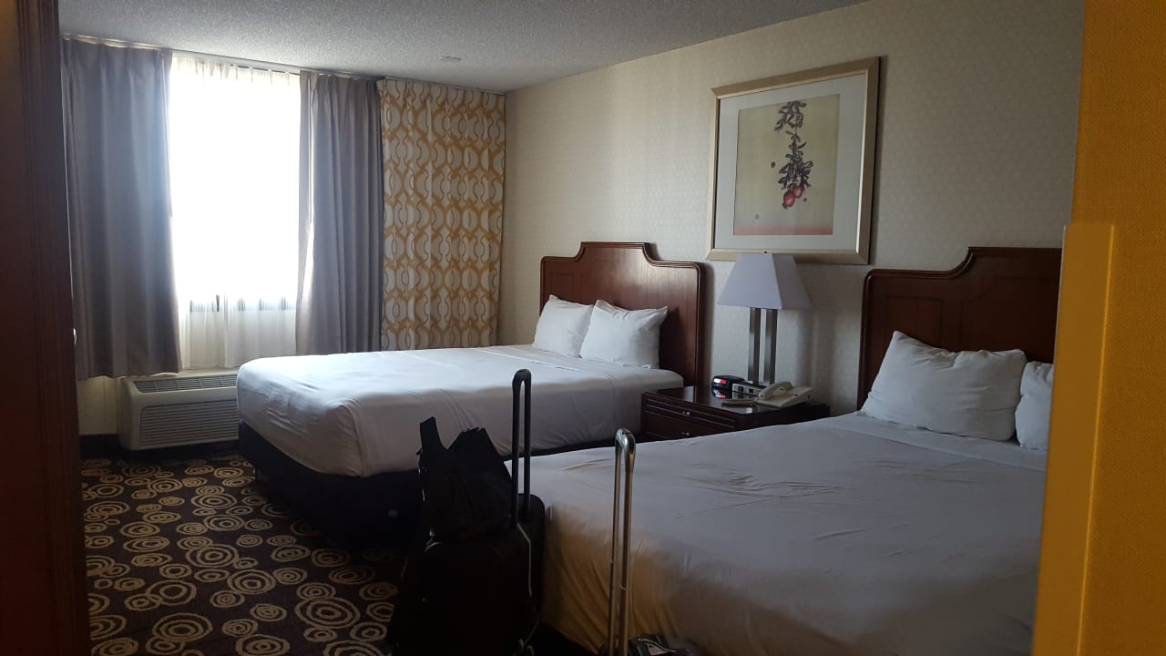 Zimmer Hotel Circus Circus