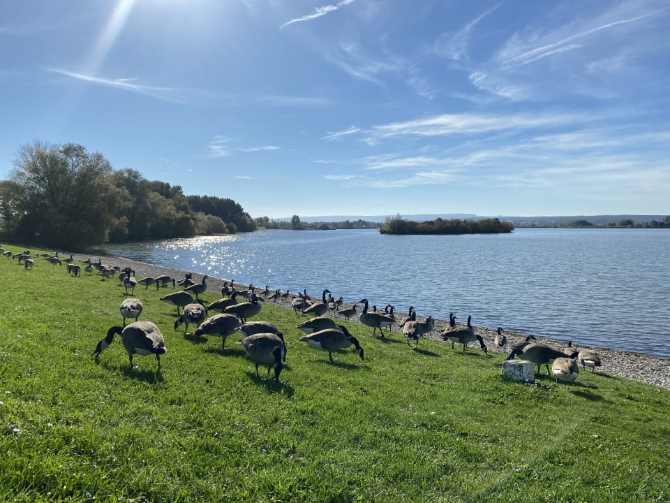 Strand Parkhotel Altmühltal