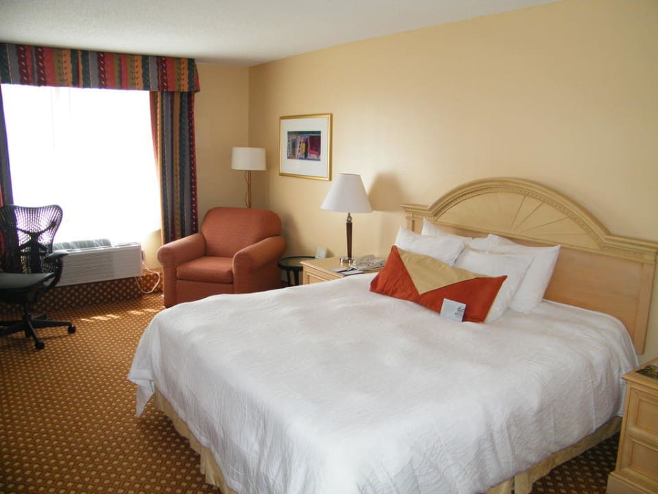 Hotelzimmer Hilton Garden Inn Orlando at SeaWorld