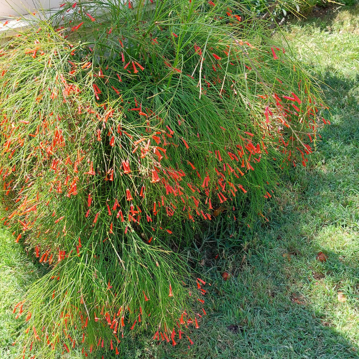 Gartenanlage Antique Roman Palace Museum Hotel - Adults Only 16+