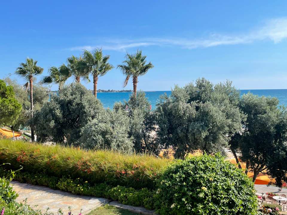Ausblick Arum Barut Collection