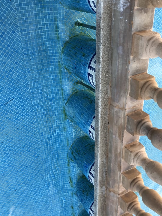 Pool Hotel Condesa