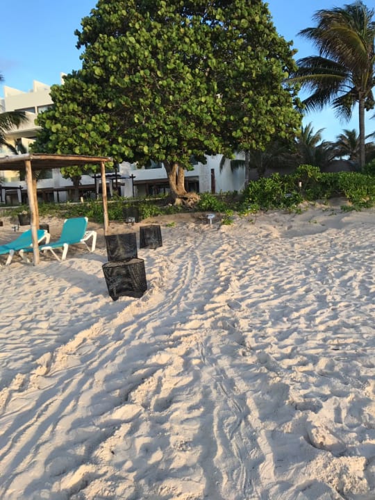 Strand Akumal Bay Beach & Wellness Resort