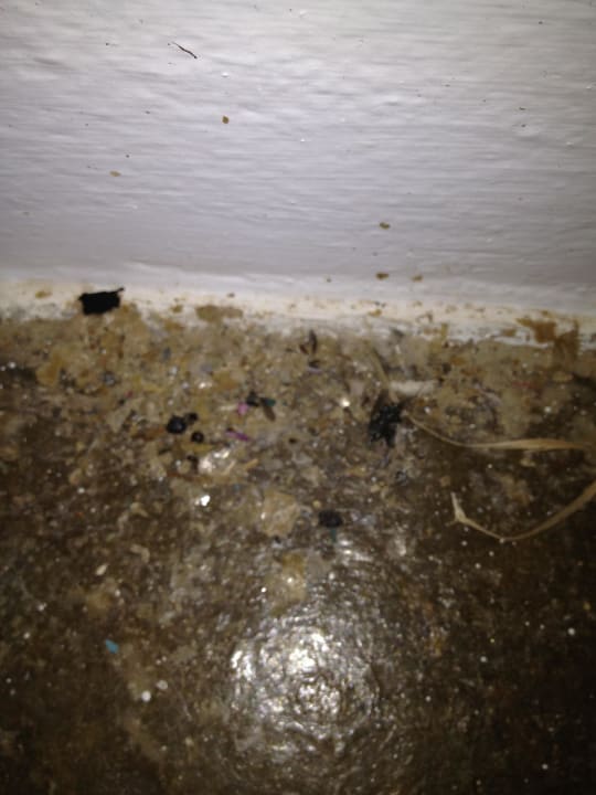 Treppe zum unbewohnten Teil am Aufzug direkt TUI SUNEO Chrissi Amoudia