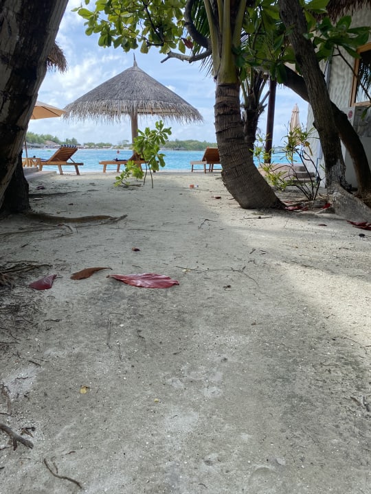 Ausblick Cinnamon Dhonveli Maldives