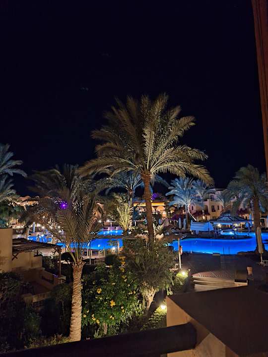 Gartenanlage Steigenberger Coraya Beach - Adults only