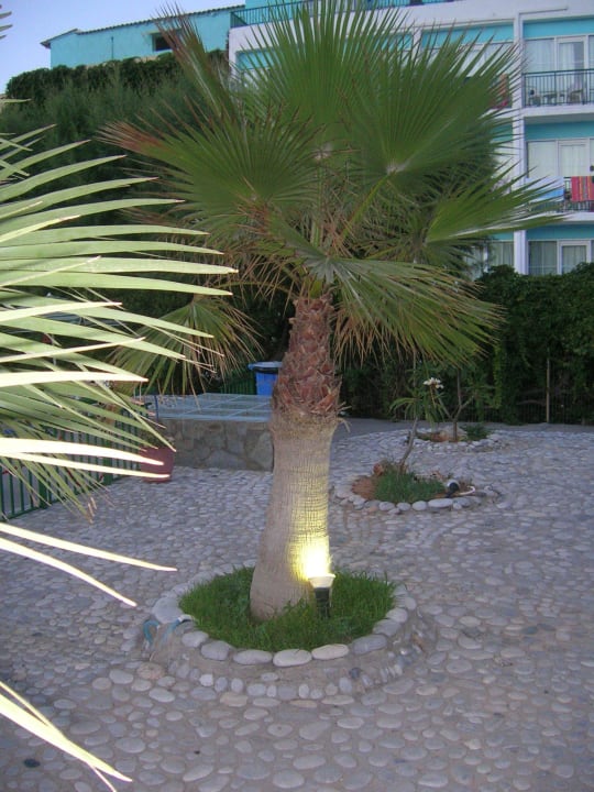Garden Hotel Kathrin Beach