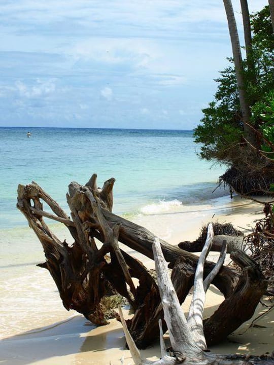 Strand an der Nordseite Kuredu Island Resort & Spa