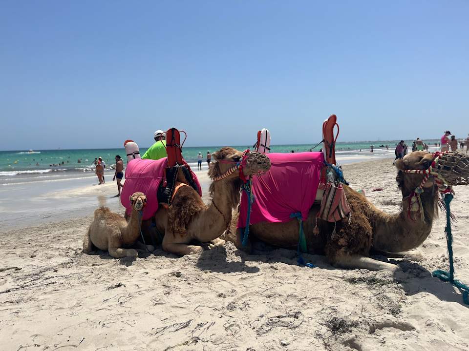 Strand TUI MAGIC LIFE Penelope Beach