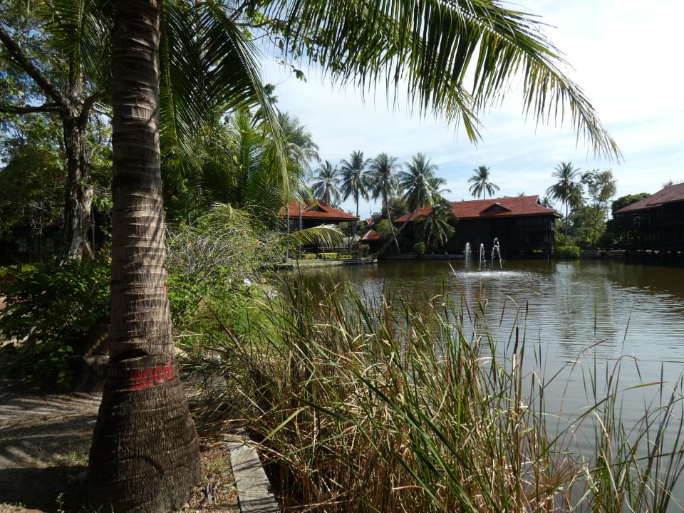 Gartenanlage Pelangi Beach Resort & Spa