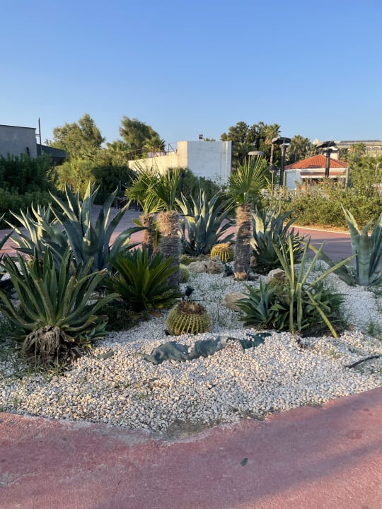 Gartenanlage Megasaray Club Belek