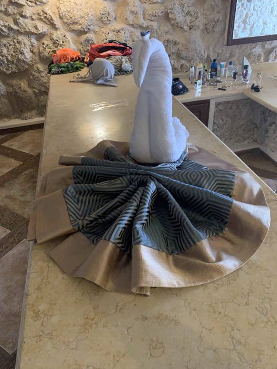 Zimmer Pickalbatros Citadel Resort