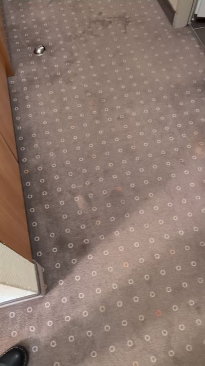 Zimmer H+ Hotel Willingen