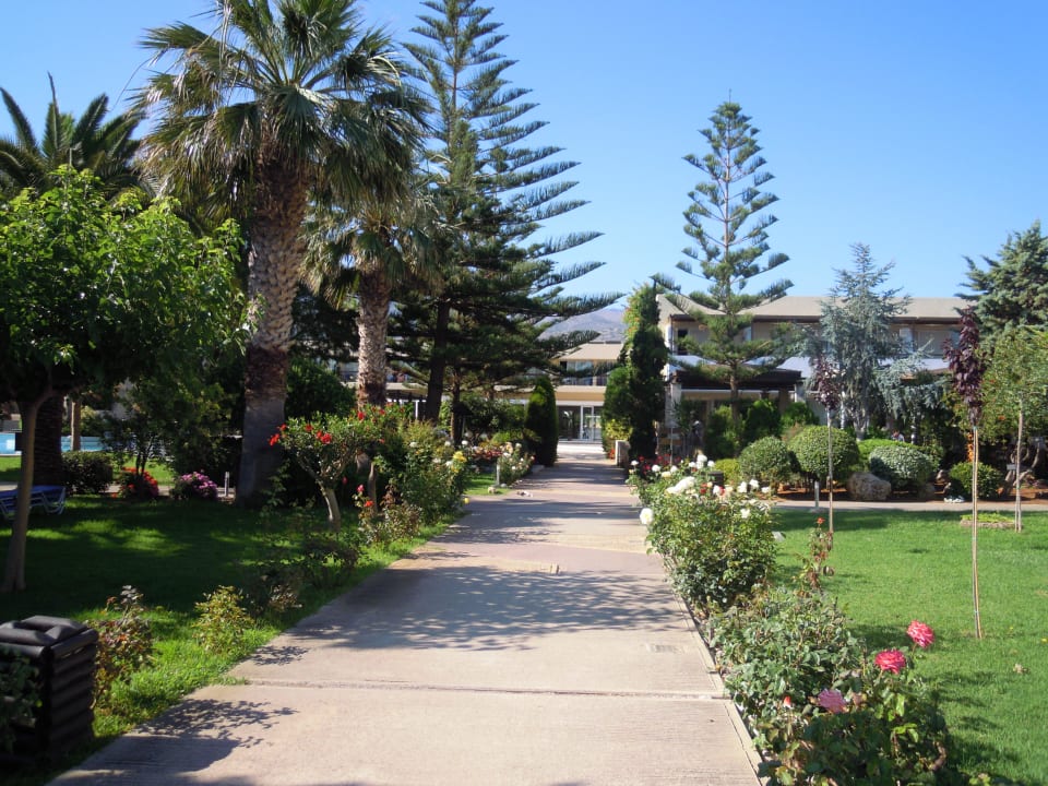 Weg zur Reception Phãea Cretan Malia