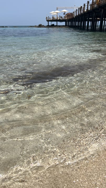 Strand Salamis Bay Conti Resort Hotel & Casino