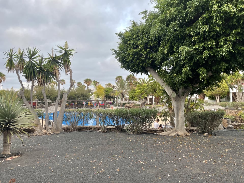 Gartenanlage allsun App.-Hotel Albatros