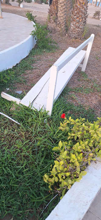 Gartenanlage Hotel El Mouradi Djerba Menzel