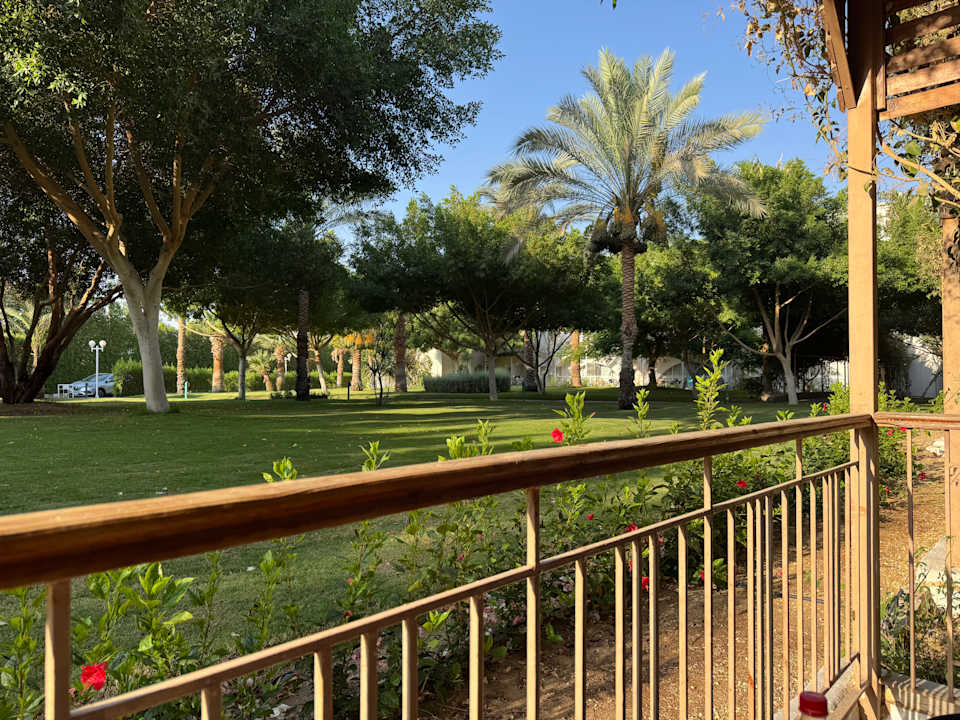 Außenansicht Desert Rose