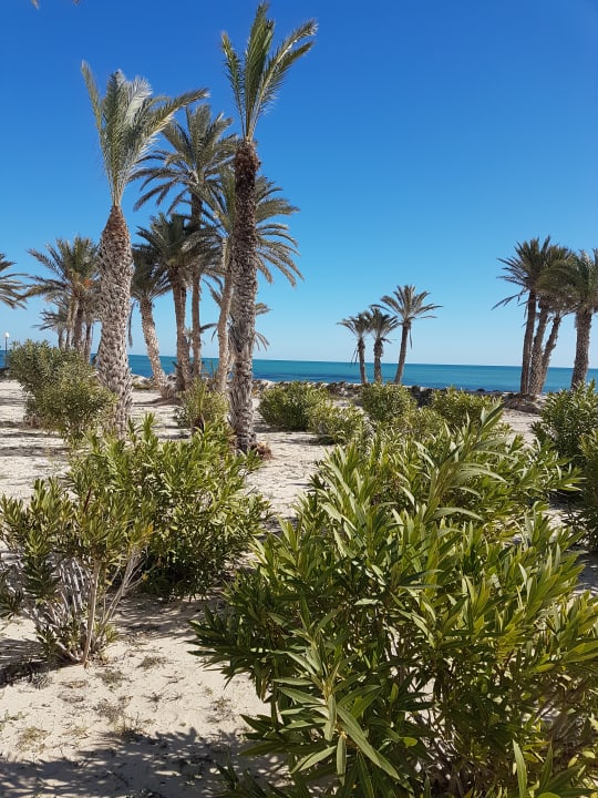 Strand Hotel El Mouradi Djerba Menzel