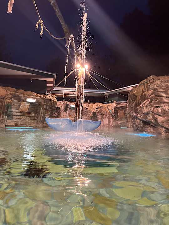 Pool Center Parcs De Kempervennen