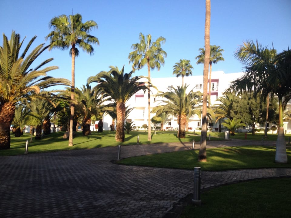 Gartenanlage Hotel Riu Gran Canaria