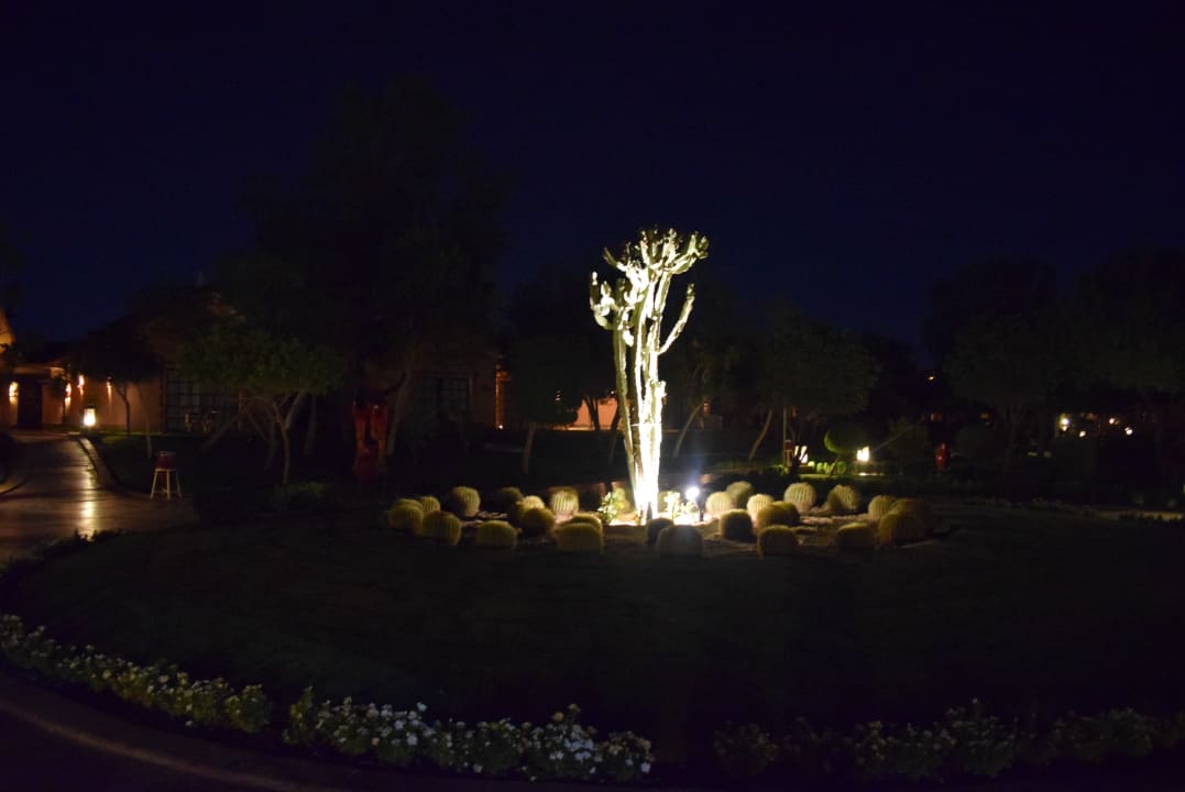 Gartenanlage Pickalbatros Jungle Aqua Park Resort - Neverland Hurghada