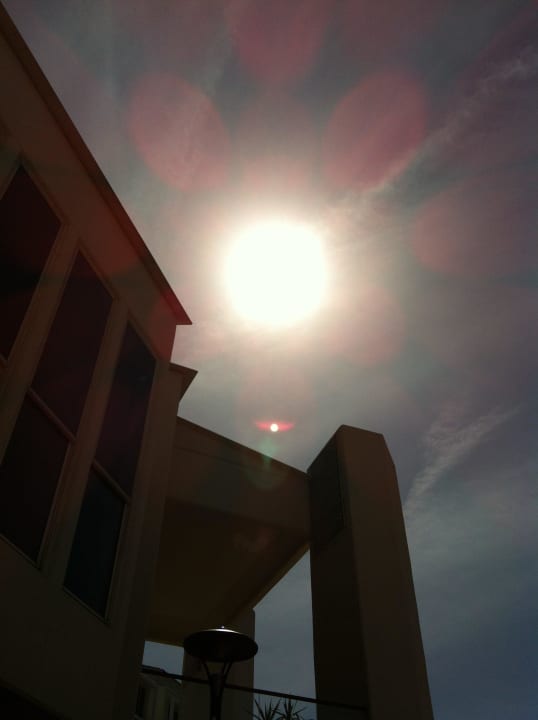 Sonne PALOMA Perissia