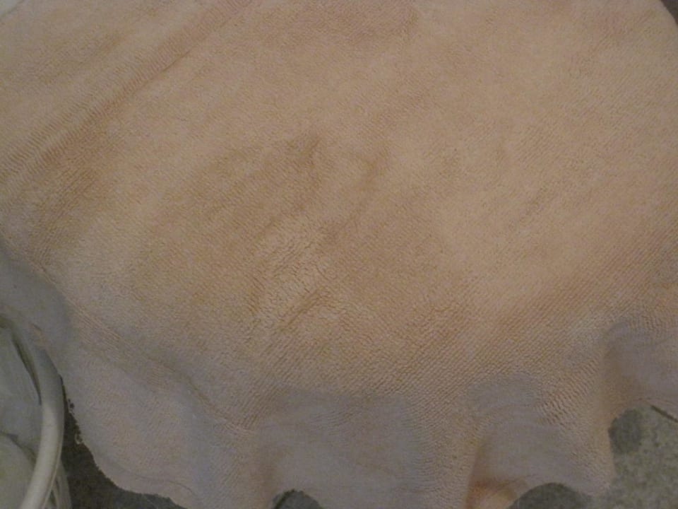 Verschimmeltes Handtuch Hotel Green Ocean