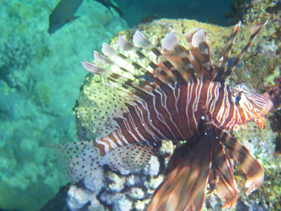 Strand Bliss Nada Beach Resort