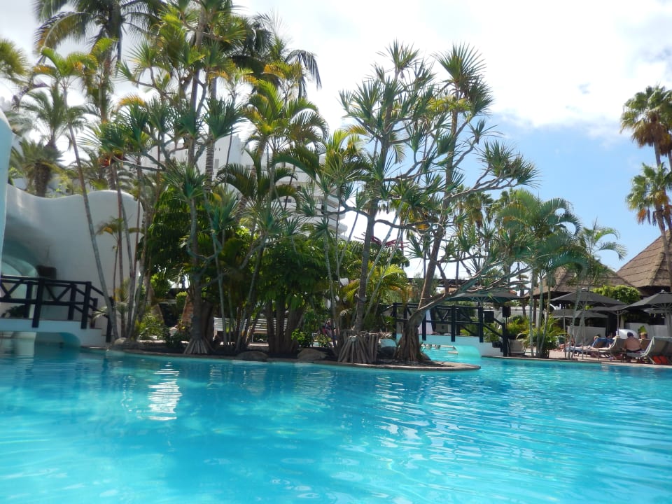 Pool Dreams Jardín Tropical