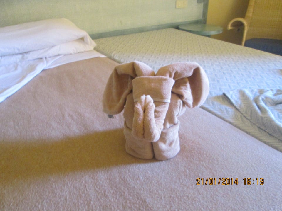 Ist das nicht schön SBH Costa Calma Beach Resort