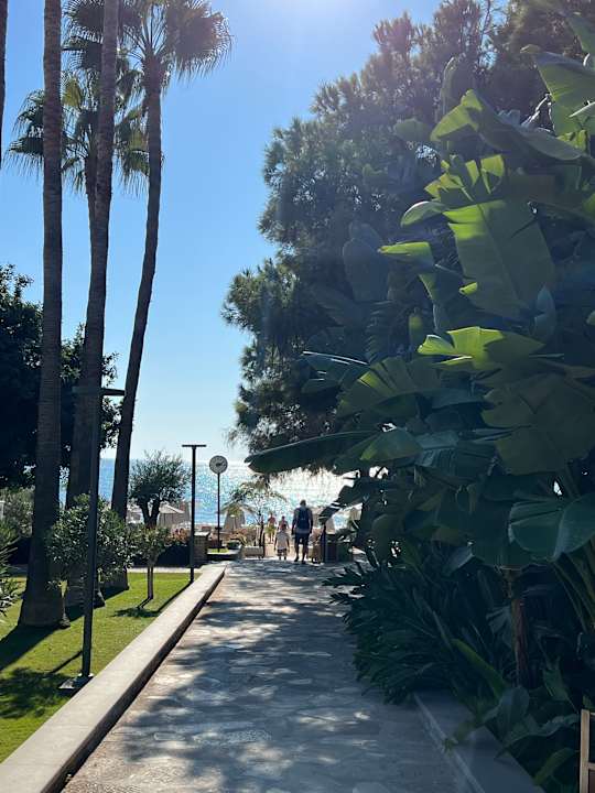 Gartenanlage Arum Barut Collection