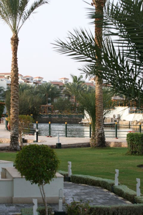 Ausblick von unserer Terrasse im EG Pickalbatros Dana Beach Resort - Hurghada