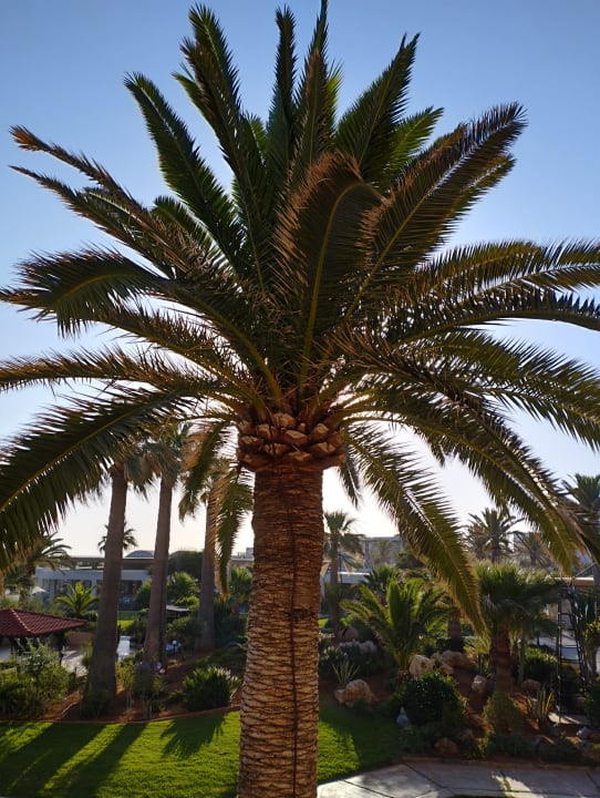 Gartenanlage Anissa Beach & Village