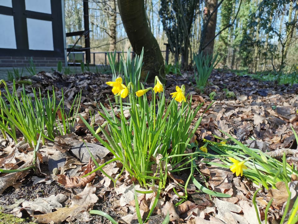 Gartenanlage Vila Vita Burghotel Dinklage
