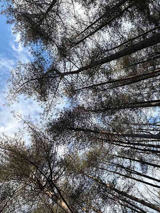 Gartenanlage Vakantiepark Boschbeek