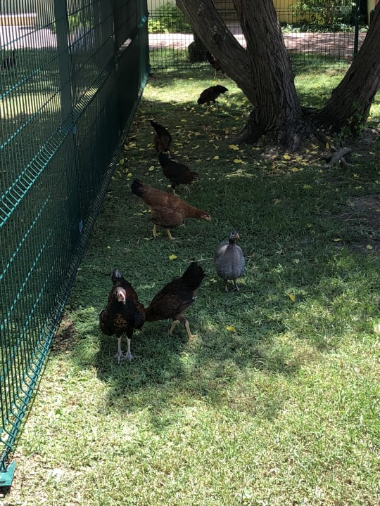 Garten VONRESORT Golden Beach