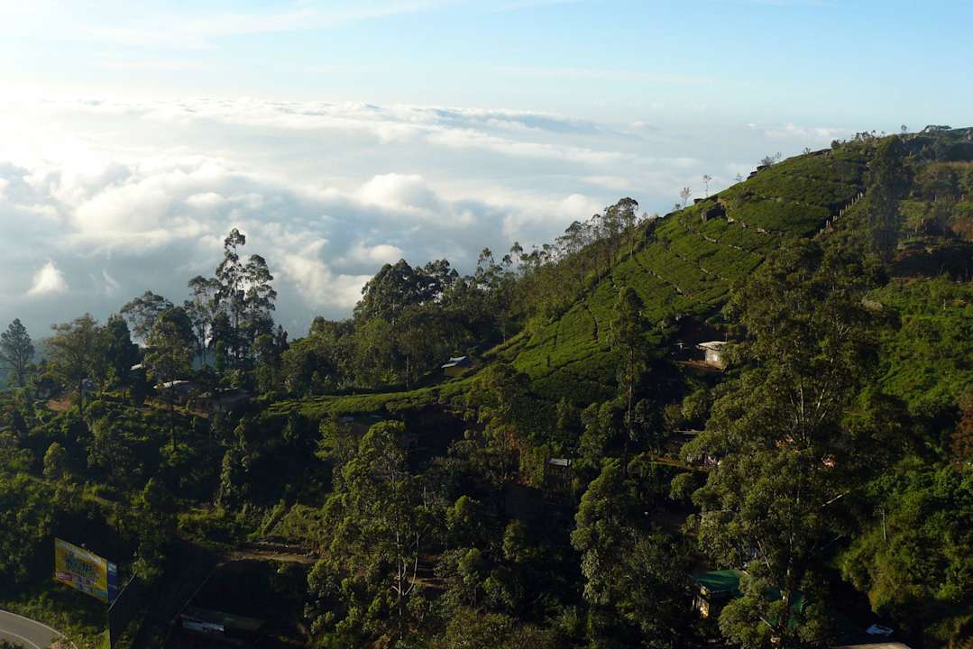 Widok z pokoju Olympus Plaza Hotel