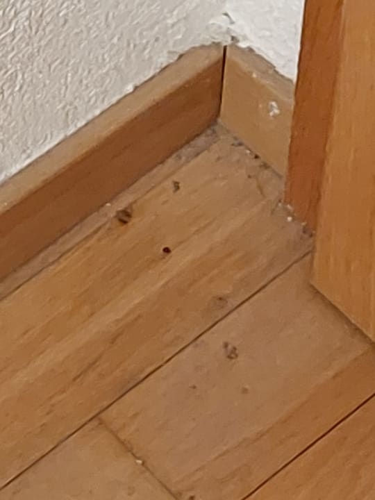 Zimmer Gasthof Rebstock