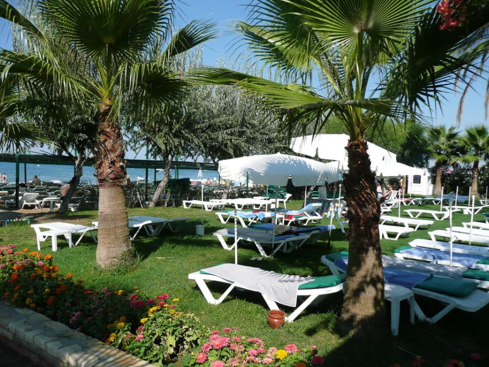 Gartenliegen Trendy Palm Beach (Adults Only, 16+)